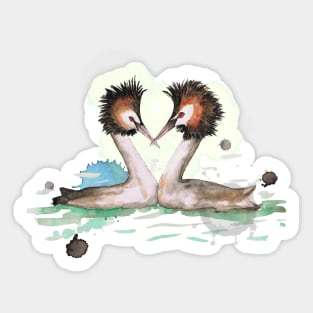 Two great crested grebes Sticker